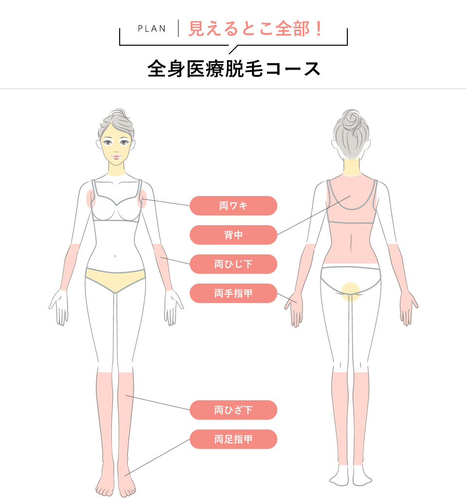 見えるとこ全部！全身医療脱毛コース