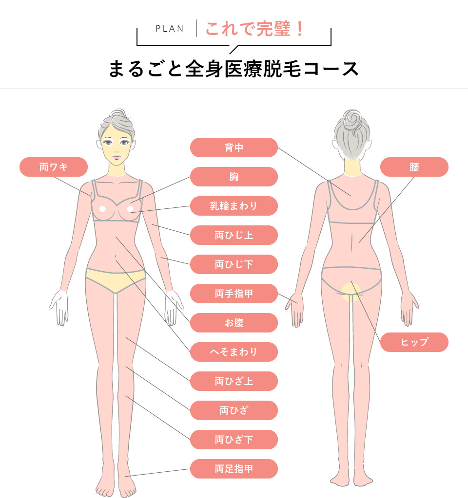 これで完璧！まるごと全身医療脱毛コース