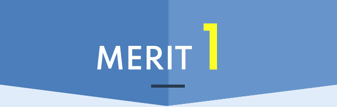 MERIT 1