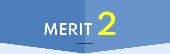 MERIT 2