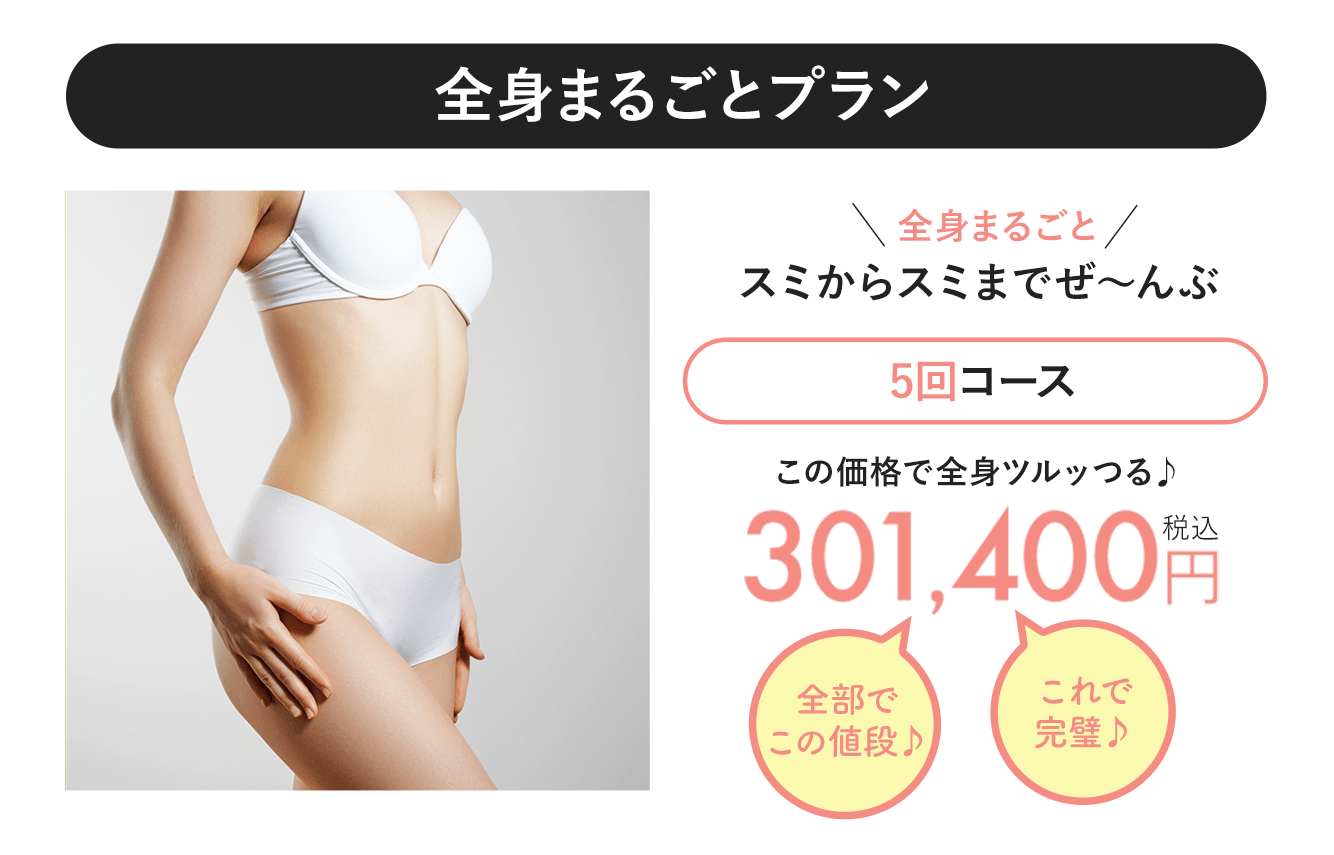 全身まるごとプラン