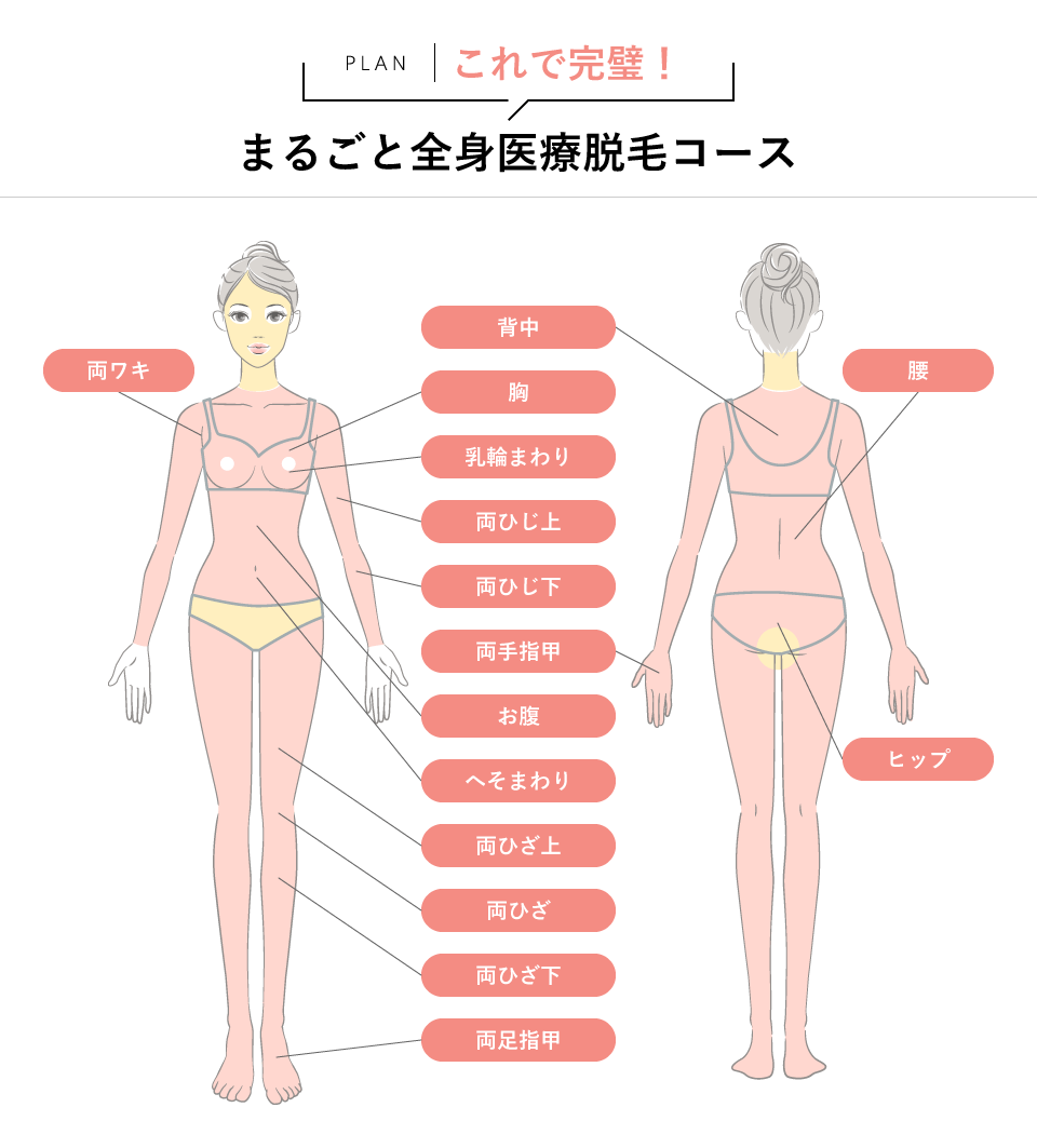 これで完璧！まるごと全身医療脱毛コース