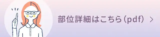 部位詳細はこちら（pdf）