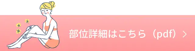 部位詳細はこちら（pdf）