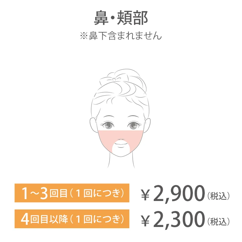 鼻・頬部