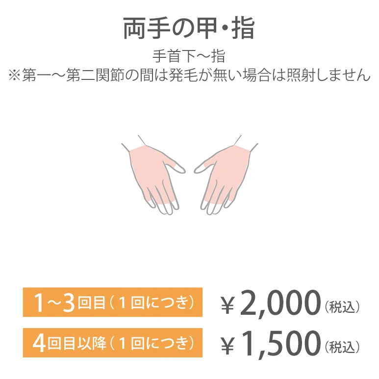 両手の甲・指