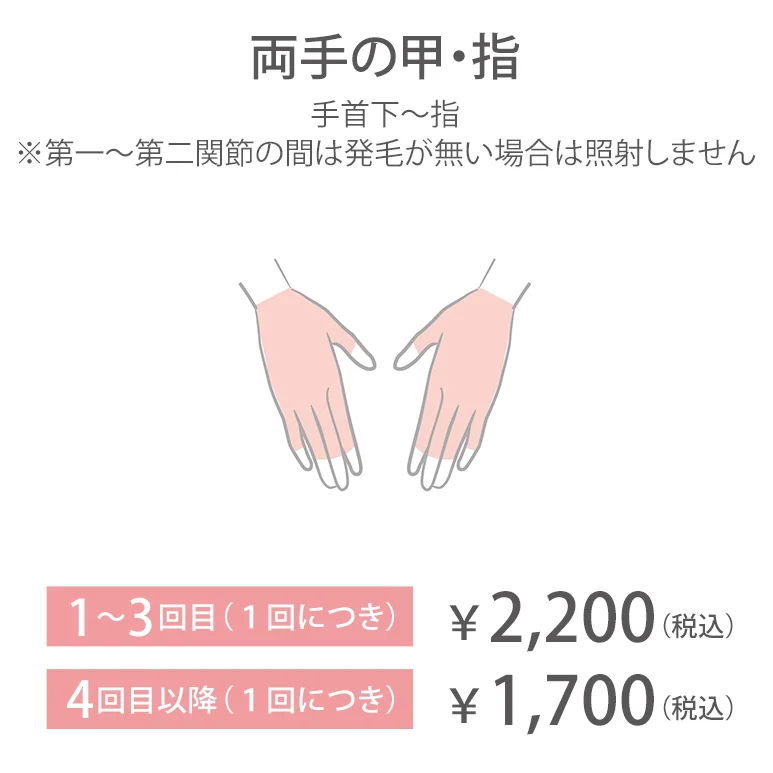 両手の甲・指