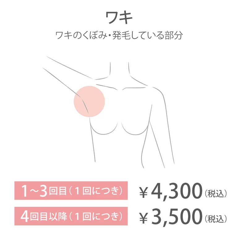 ワキ