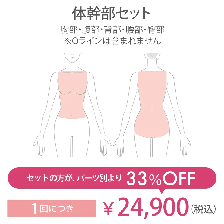 体幹部セット
