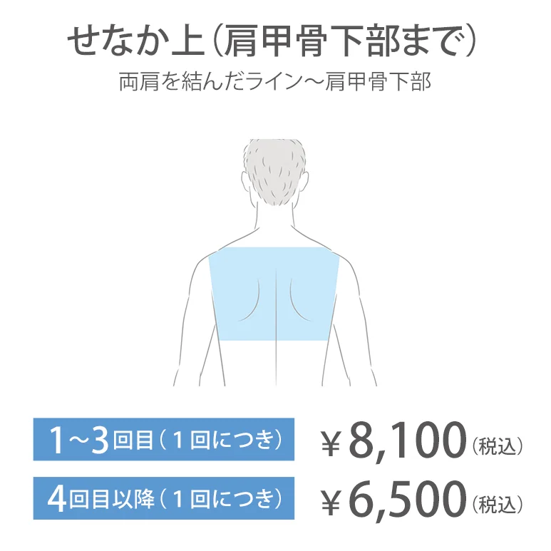 せなか上（肩甲骨下部まで）